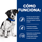 perro i/d digestive care stress mini