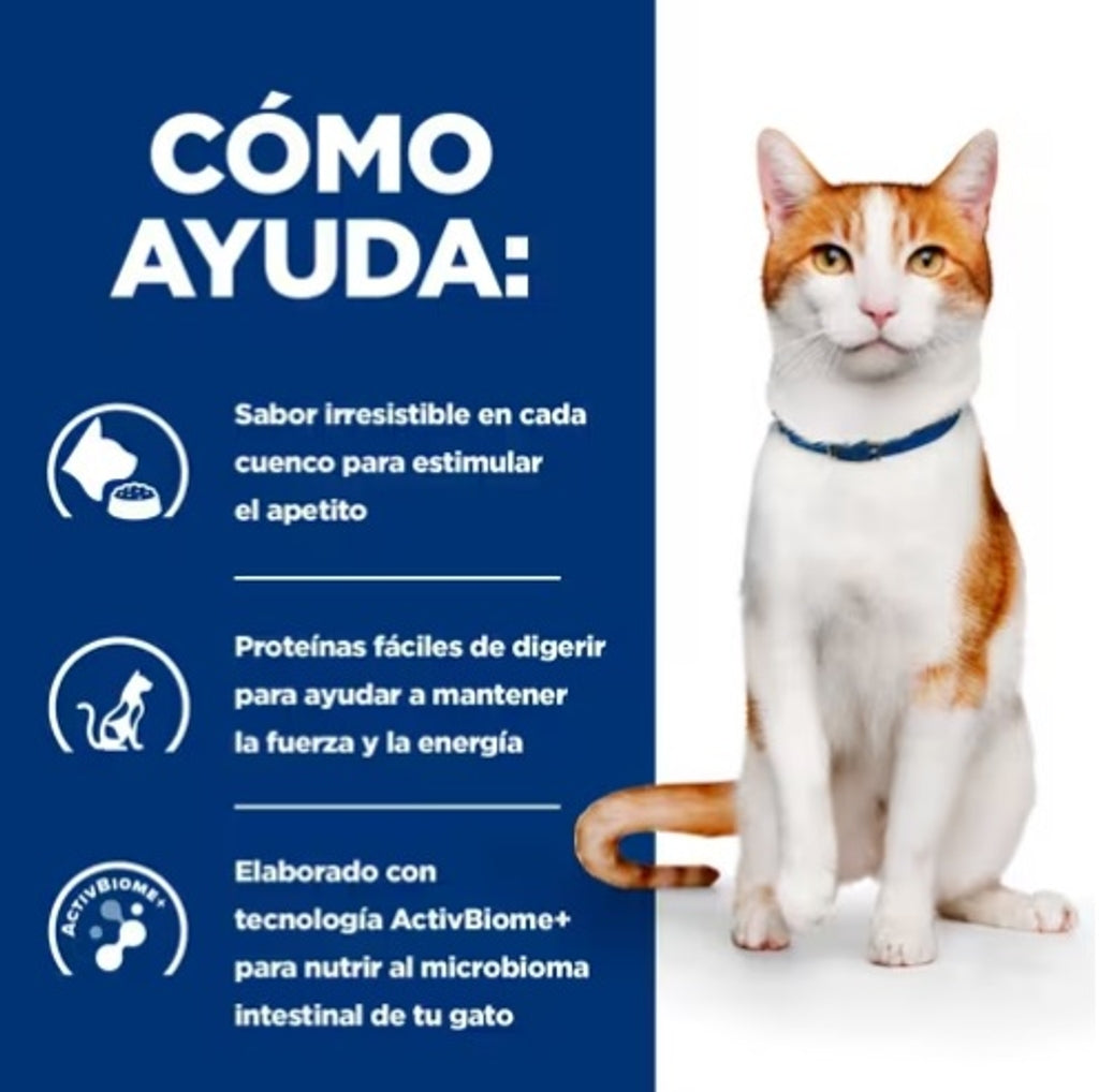 gato on-care pienso oncológico de pollo 1,5kg