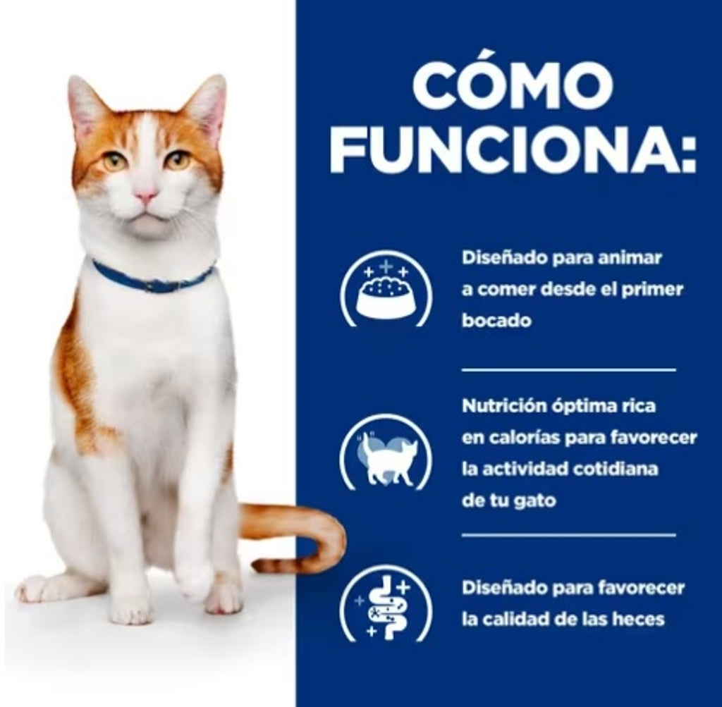 gato on-care pienso oncológico de pollo 1,5kg