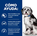 perro on-care pienso oncológico de pollo