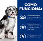 perro on-care pienso oncológico de pollo