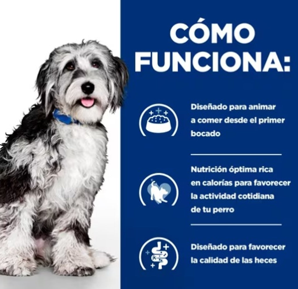 perro on-care pienso oncológico de pollo