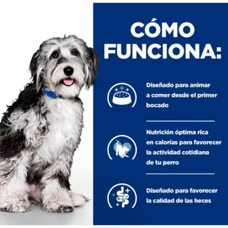 perro on-care oncológico lata pollo y verdures 354