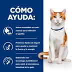 gato on-care oncológico lata pollo y verdures 82gr