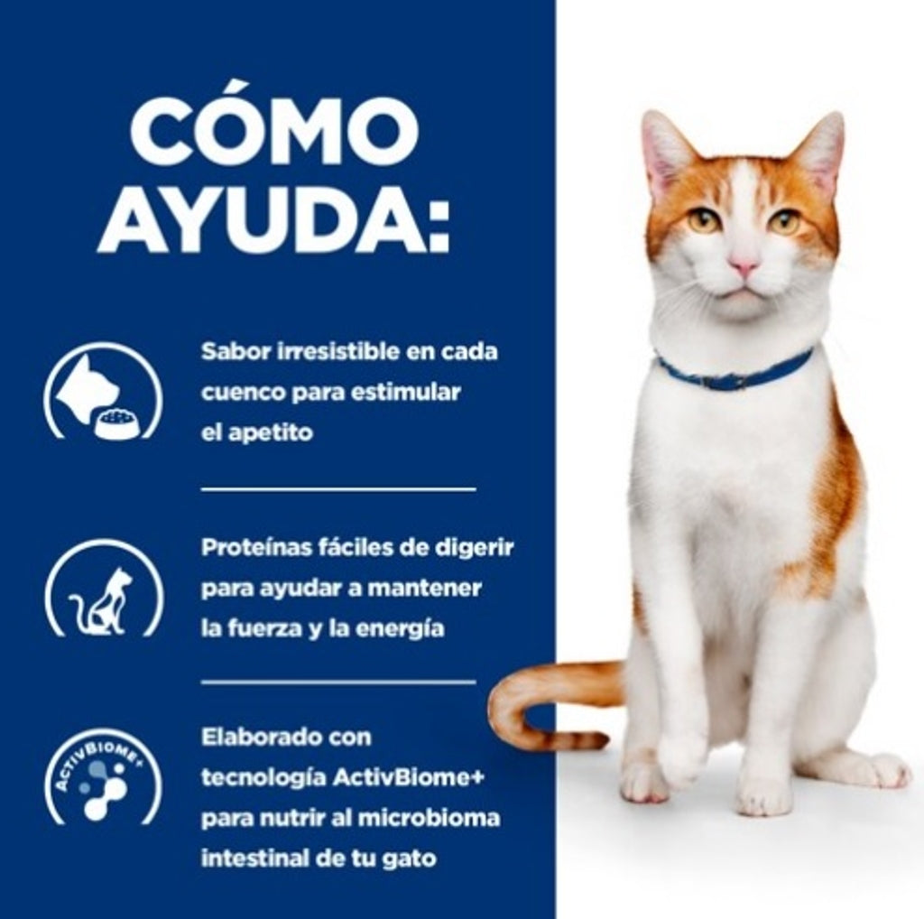 gato on-care oncológico lata pollo y verdures 82gr