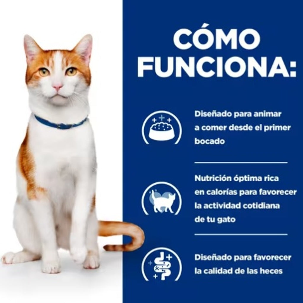 gato on-care oncológico lata pollo y verdures 82gr