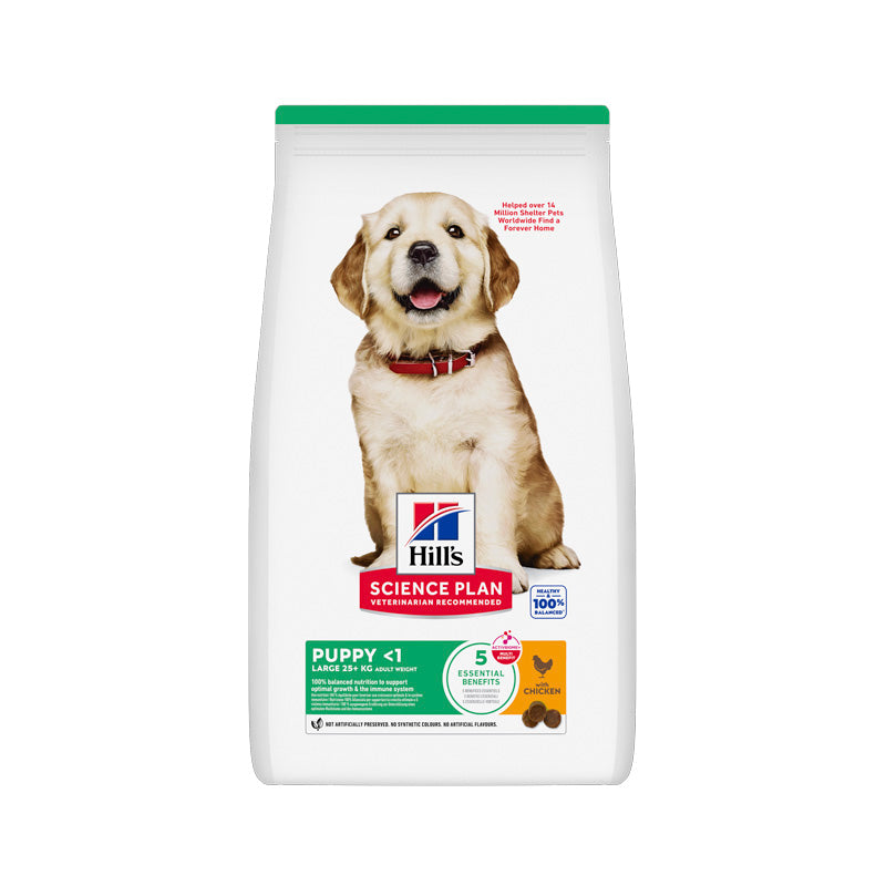 Hill's Puppy Large con pollo pienso para cachorros Imagen principal del producto