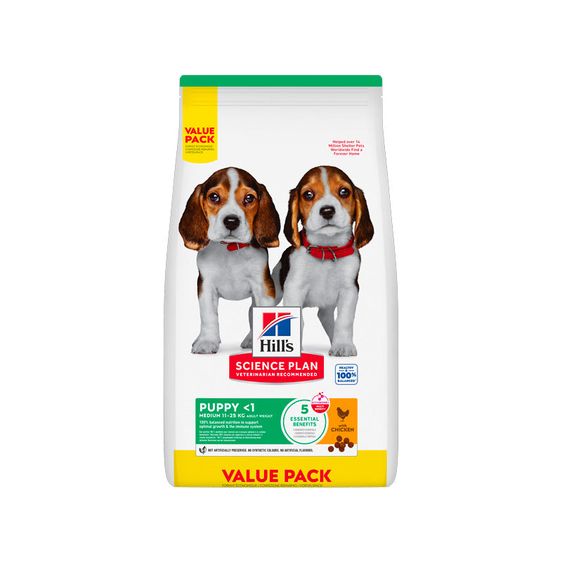 Hill's Puppy Medium Pollastre Imatge principal del producte