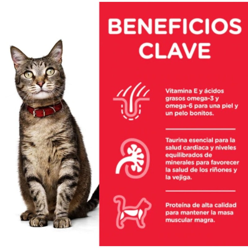 gato adult ternera sobre 85gr