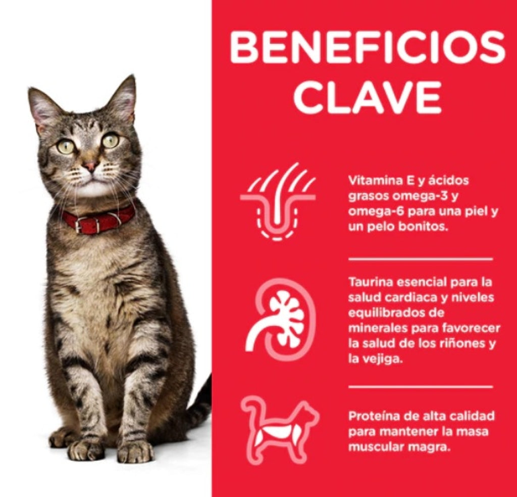 gato adulto pollo sobre 85gr