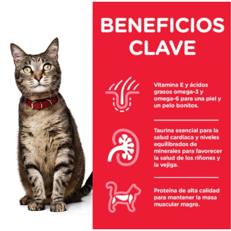 gat adult peix blau sobre 85 g