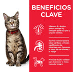 gat adult peix blau sobre 85 g