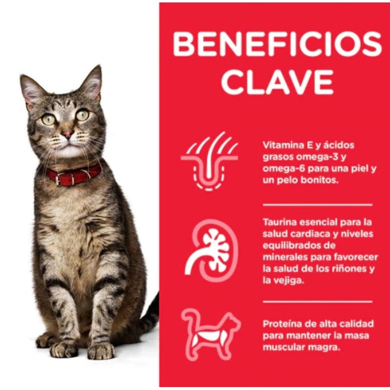 gato adulto pavo sobre 85gr