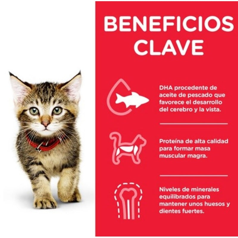 kitten pollo sobre 85gr