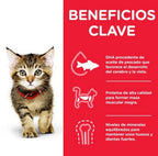kitten pollastre sobre 85 g