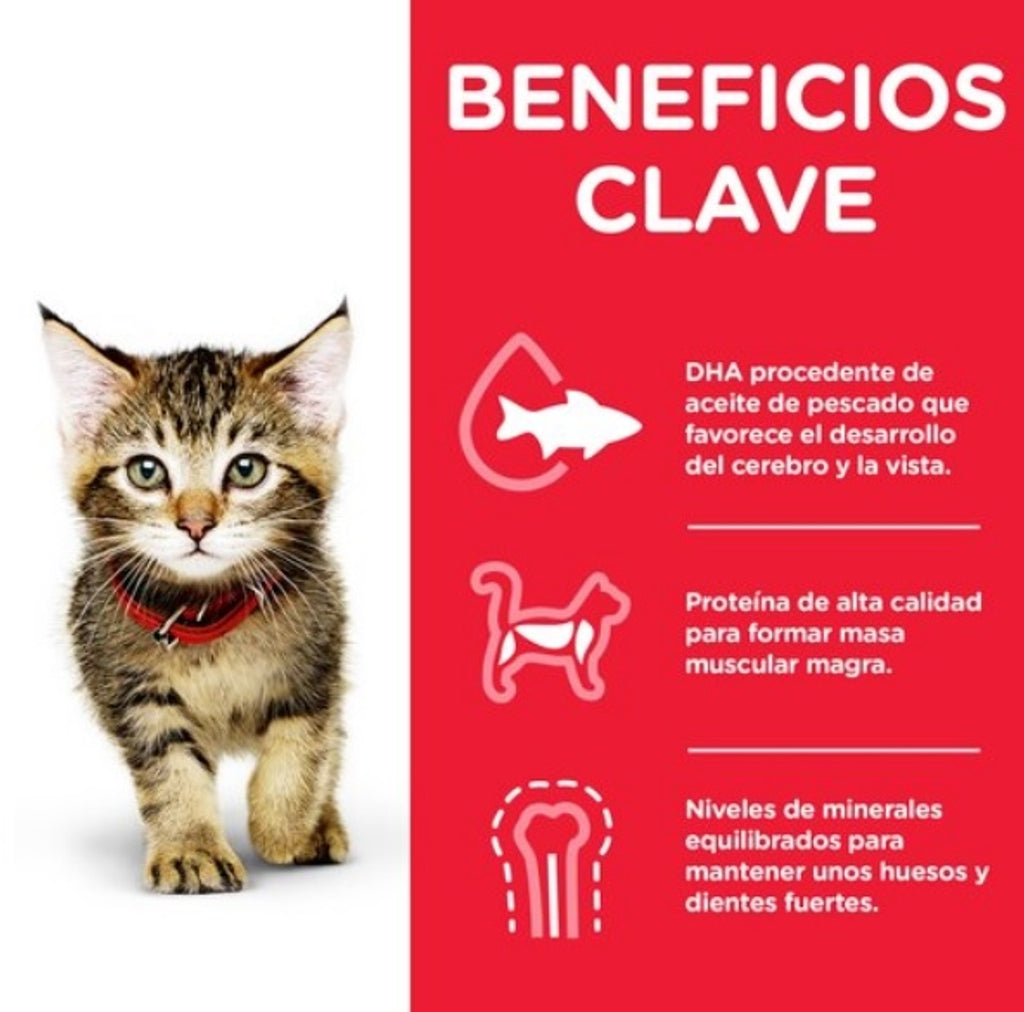 kitten pollastre sobre 85 g
