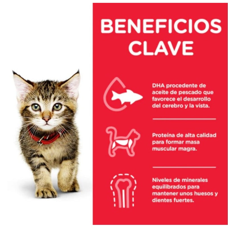kitten pavo sobre 85gr