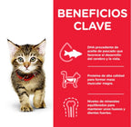 kitten gall dindi sobre 85 g