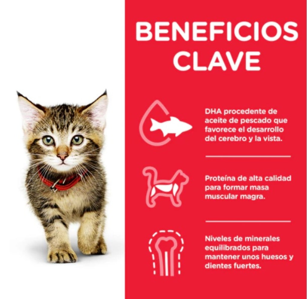 kitten gall dindi sobre 85 g