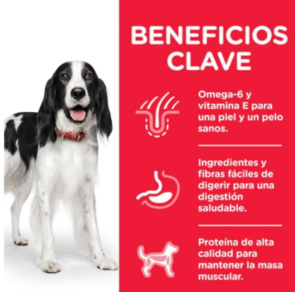 perro adulto pollo lata 370gr