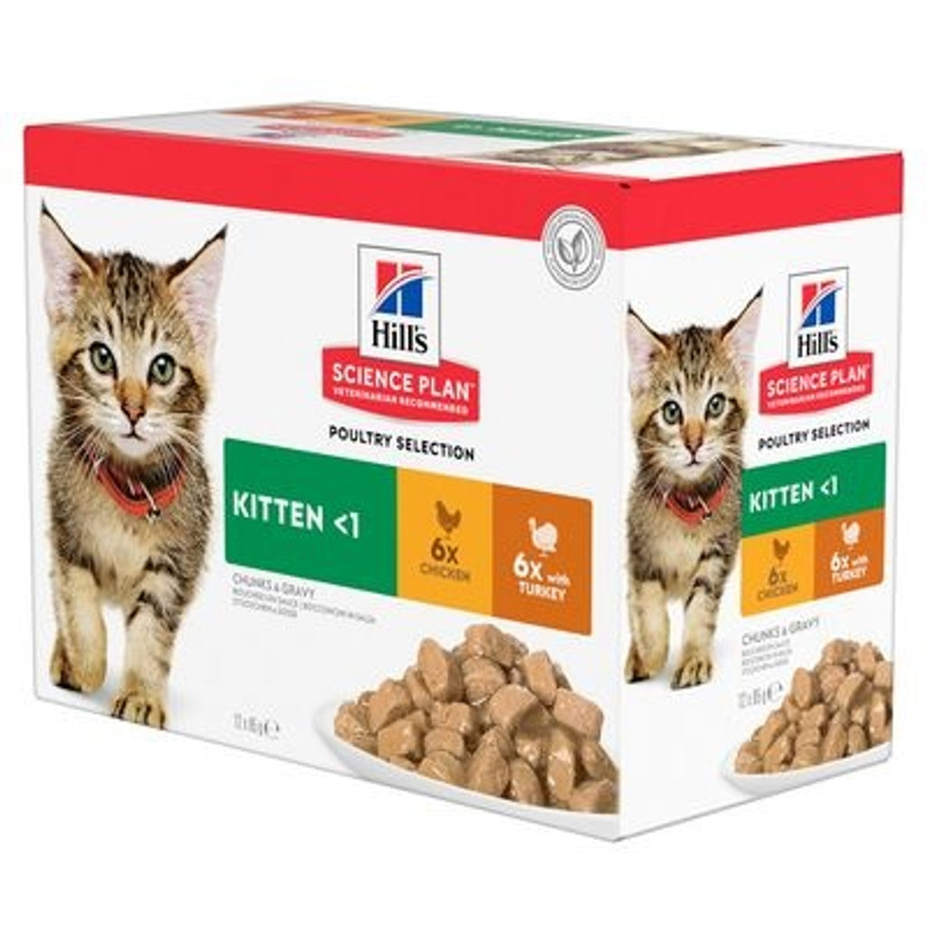 gato kitten pollo y pavo 12x85gr