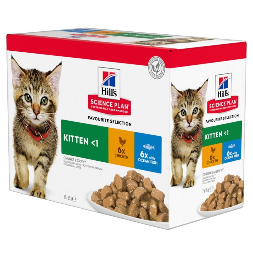 kitten sobre 12X85gr