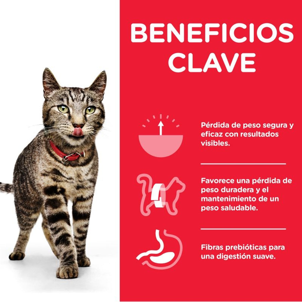 gato adulto perfect weight multipack12X85gr