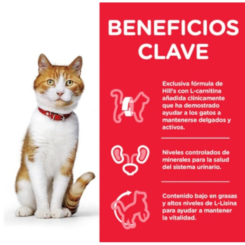 gat adult steriliesd salmó sobre 85 g