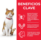 gato adulto sterilised trucha sobre 85gr