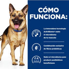 gos gastrointestinal biome llauna