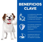 perro adult raza pequeña pollo lata 200gr