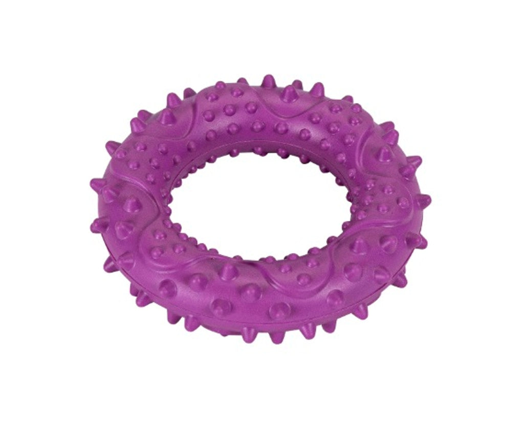 goma hoop violeta 9,2x9,2x2,4 cm Imatge principal del producte