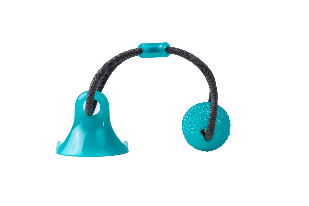 pelota mordedor con ventosa 43cm Imagen principal del producto