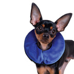 collar isabelino inchable Cloud