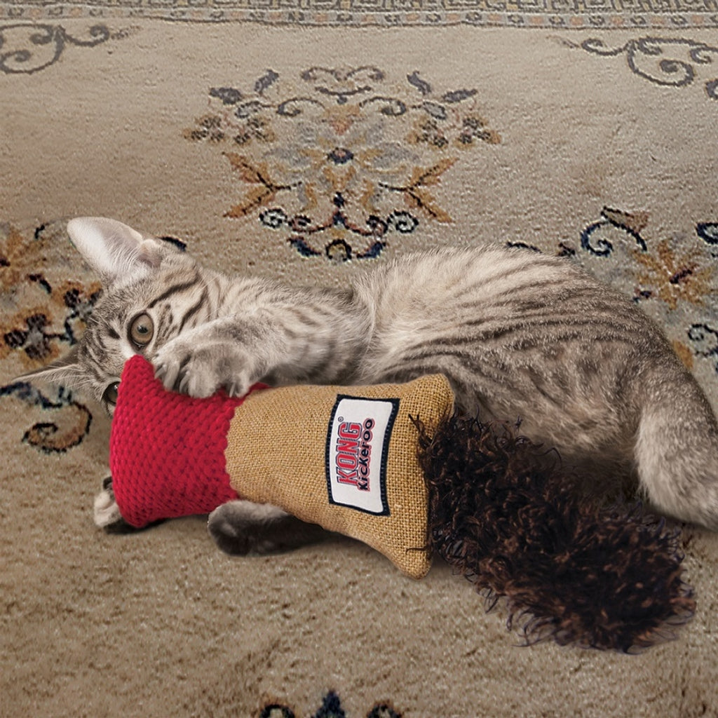 kickeroo cuddler
