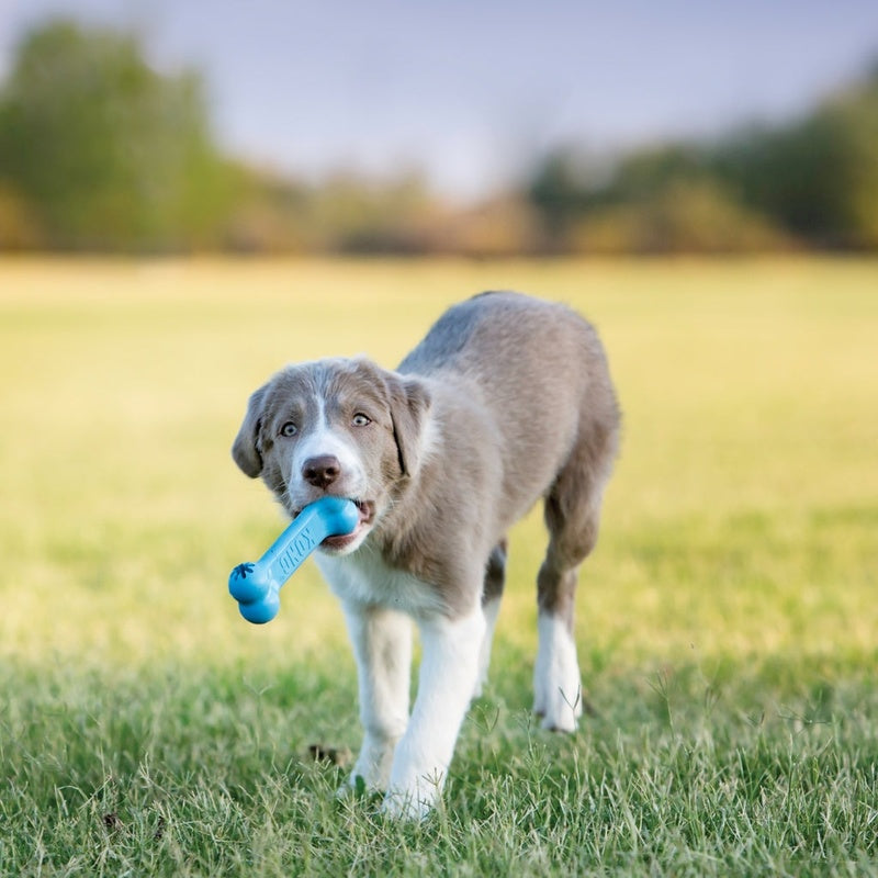 puppy goodie bone S