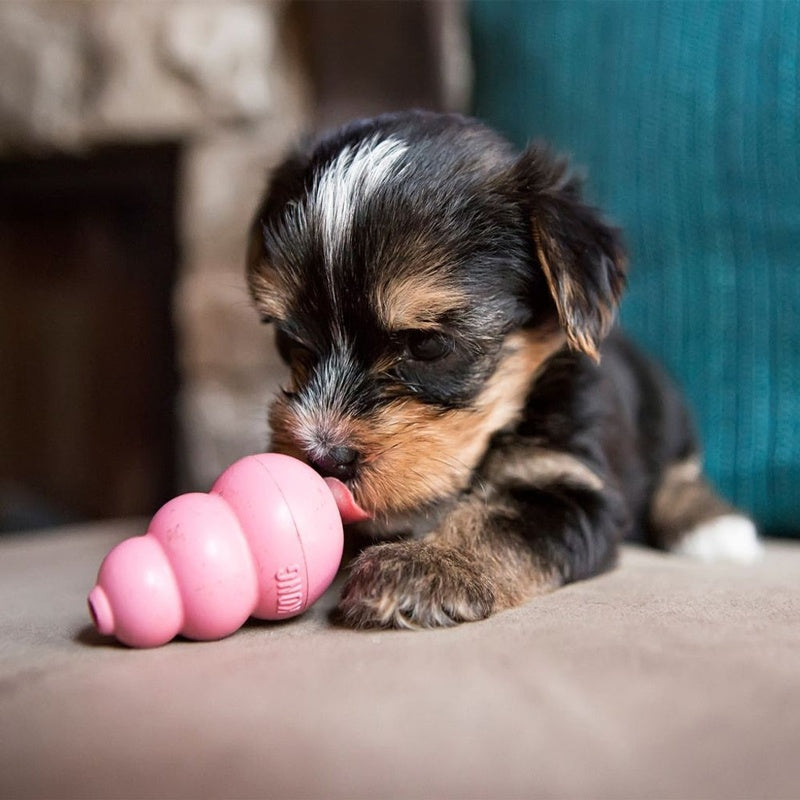 puppy