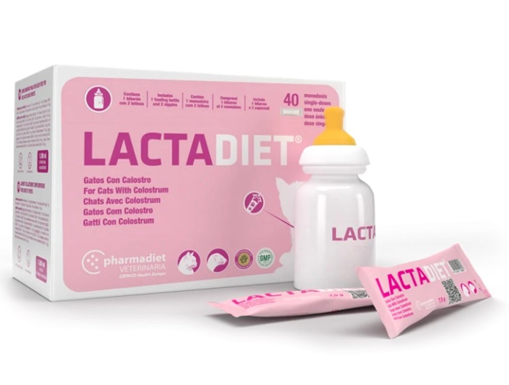 lactadiet gatos