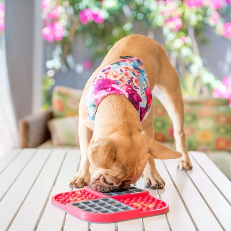 antiestress para perro slomo lila