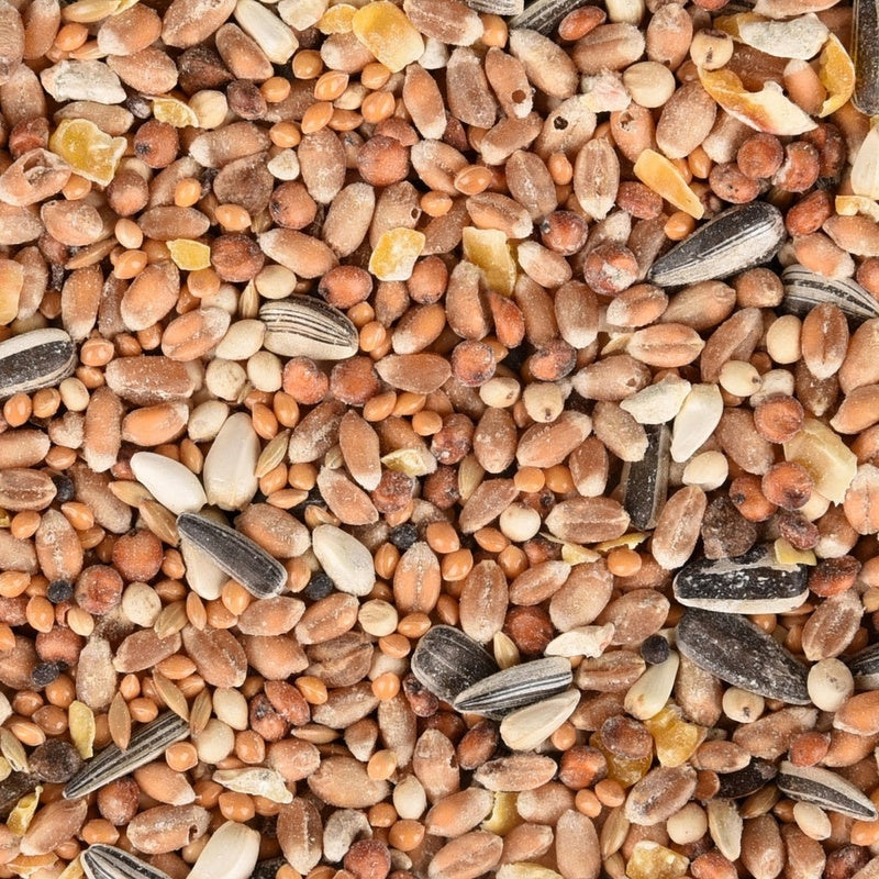barreja de llavors per a ocell salvatge 2,5 kg