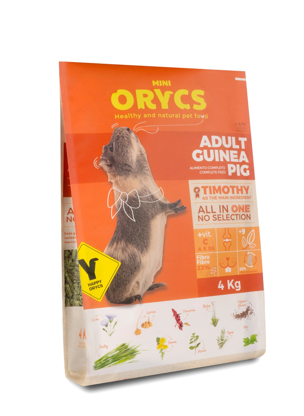 cobaia adulta 4 kg