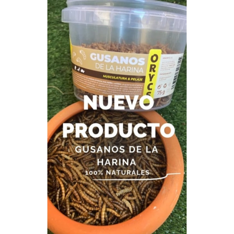 gusano de la harina 75gr Imagen principal del producto