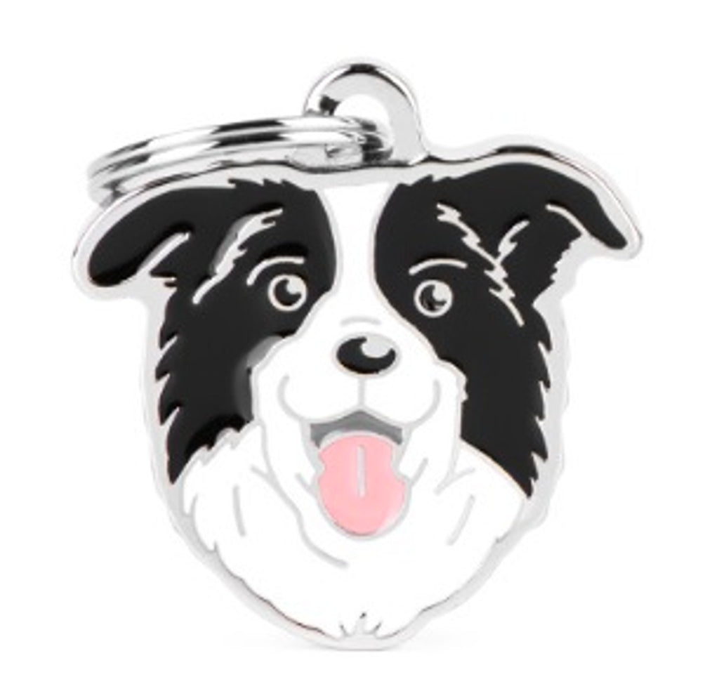 border collie Imagen principal del producto
