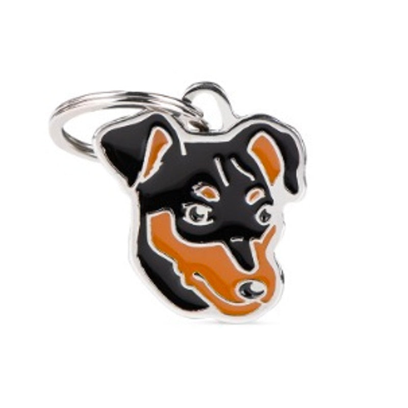 black pinscher Imatge principal del producte