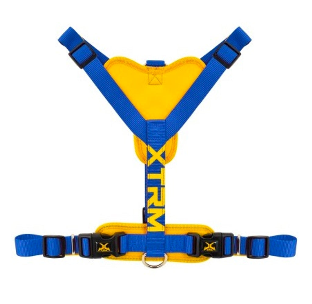 X-trm neon flash cobalto Imatge principal del producte