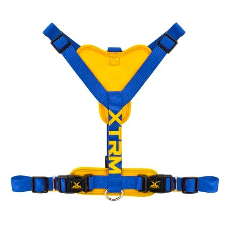 X-trm neon flesh cobalto Imatge principal del producte