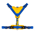X-trm neon flash cobalto