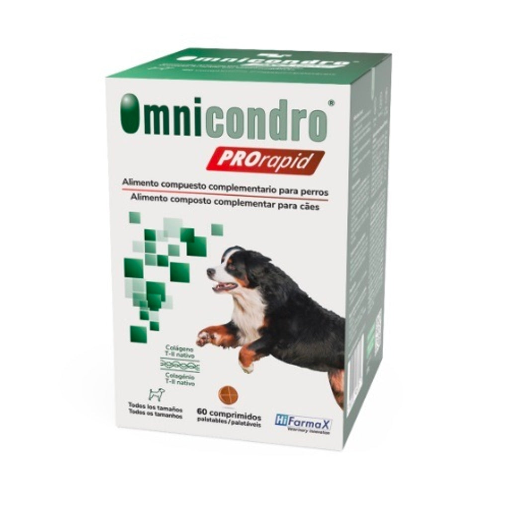 Omnicondro Pro Rapid (60comp) Imatge principal del producte