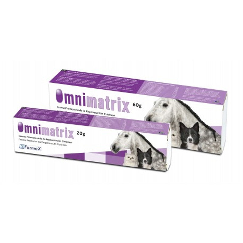 Omnimatrix