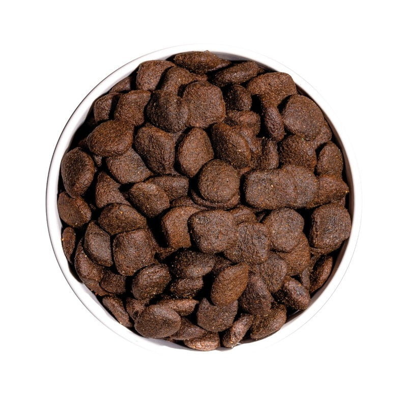 Ownat GF Hypo Iberian Pork pienso para perros servido en un cuenco